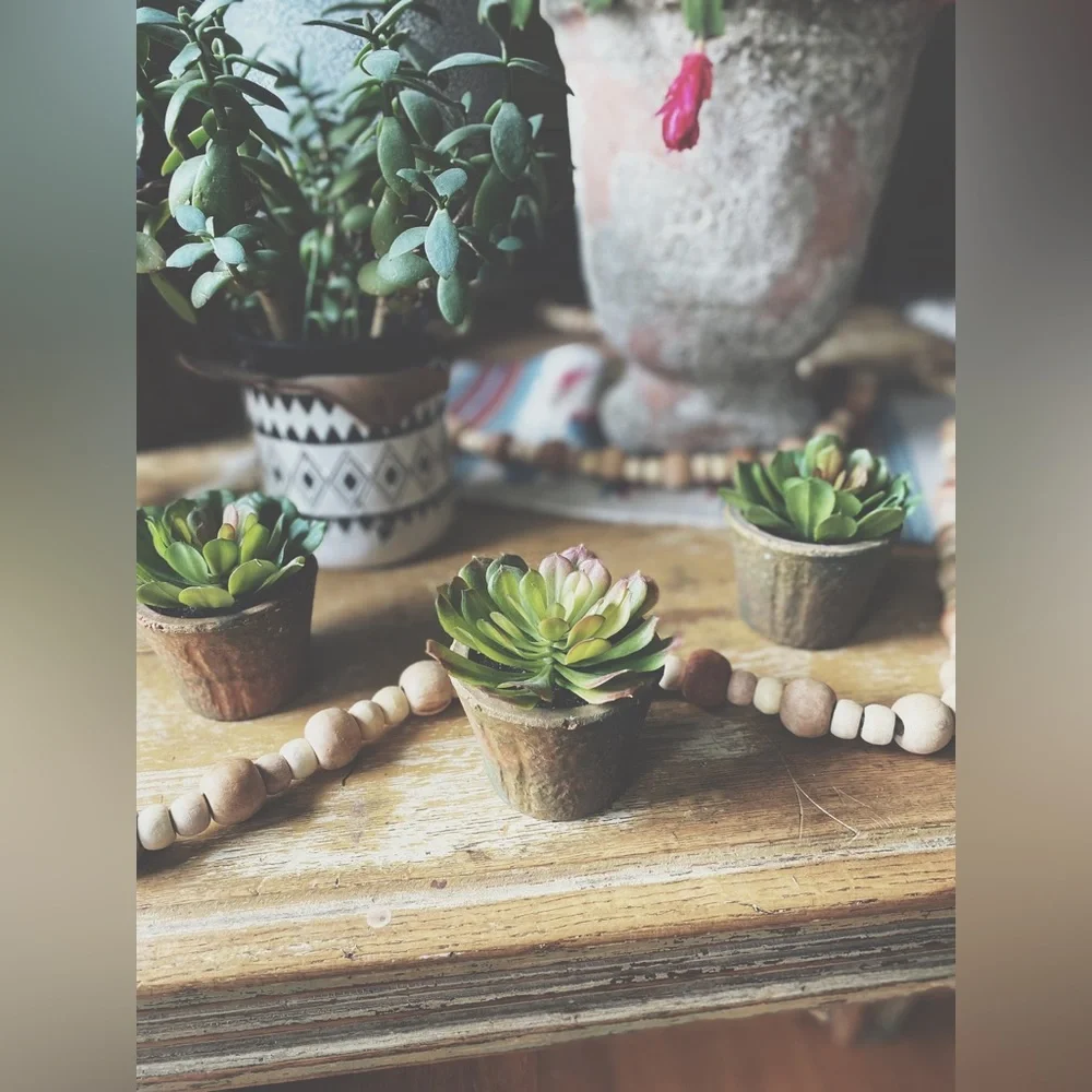 Set of 3 Rustic Clay Potted Faux Succulents - Boho Home Decor